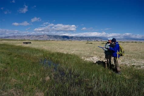 Conservation tour highlights Wyoming’s endangered toad - WyoFile