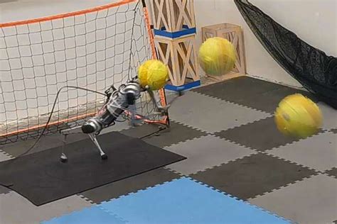 A Reinforcement Learning Based Four Legged Robotic Goalkeeper