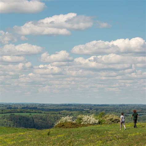 Queen Elizabeth Country Park Free Day Out Info And Events