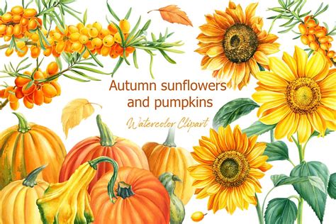 Autumn sunflowers and pumpkins | Creative Market