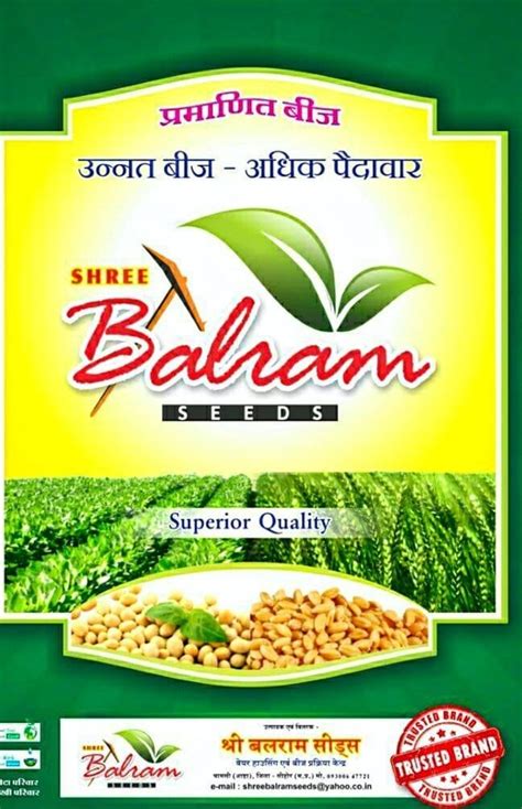 Natural Shree Balram Wheat Seeds For Agriculture Packaging Type Bag