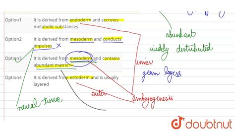 Which Statement Best Describes Connective Tissue Captions Cute Viral