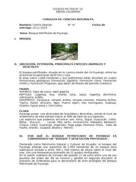 PDF Consulta De Ciencias Naturales DOKUMEN TIPS