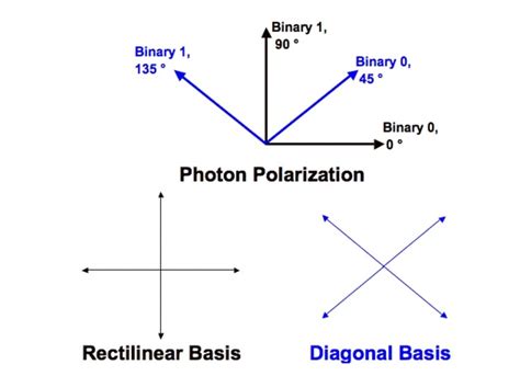 Complete Intro to Quantum Circuit: Everything to Know