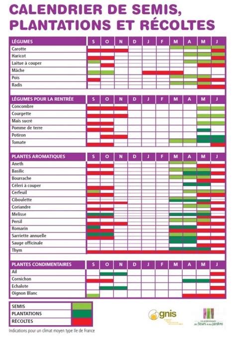 Calendrier De Culture Des L Gumes Et Plantes Aromatiques Et