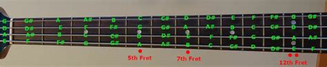 Bass Guitar Notes Chart With Helpful Fretboard Photos Bassox