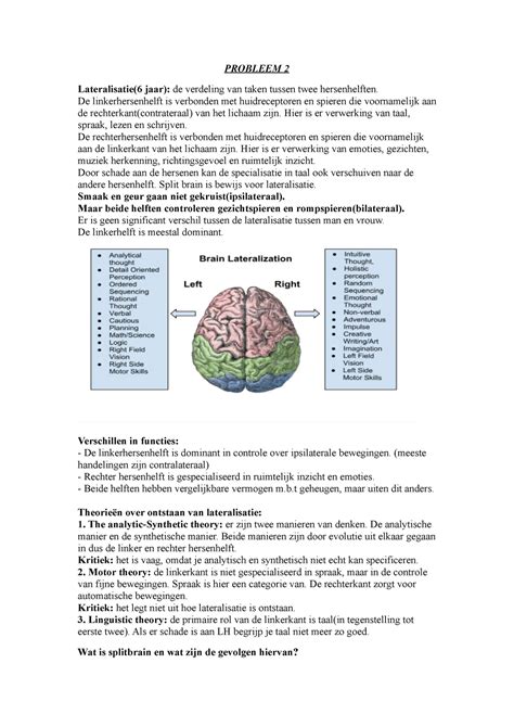 Probleem 2 Probleem 2 Lateralisatie6 Jaar De Verdeling Van Taken