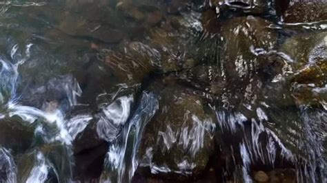 Natural Water Flow Flowing In The River Stock Video Pond5