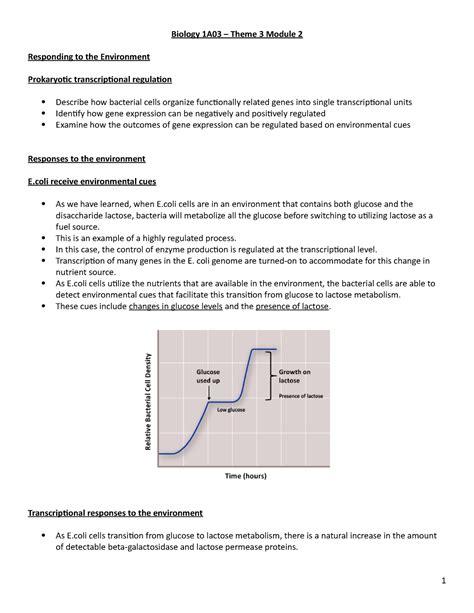 Biology 1A03 Theme 3 Module 2 Biology 1A03 Theme 3 Module 2