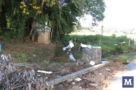 Acúmulo de lixo no Limoeiro preocupa moradores