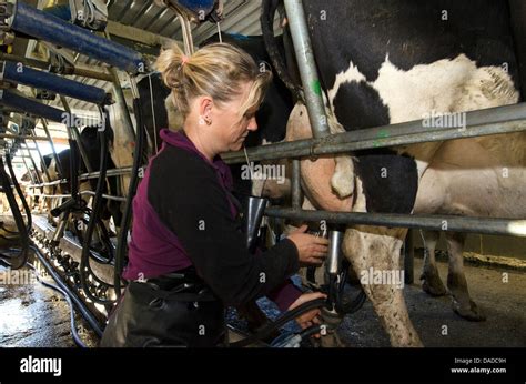 Bauer Melkt Kuh Von Hand Stockfotos Und Bilder Kaufen Alamy