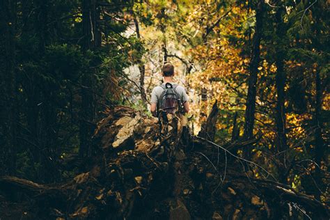 Fotos Gratis Hombre Rbol Naturaleza Bosque Desierto Luz De Sol