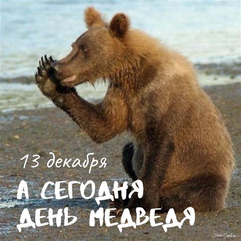 Открытки на День медведя 13 декабря