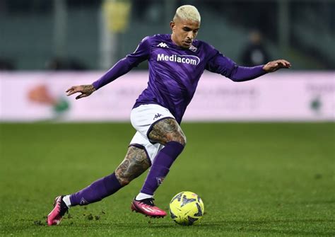 Fiorentina Vs Bologna Tipp Prognose Quoten 05 02 2023 Wettbasis