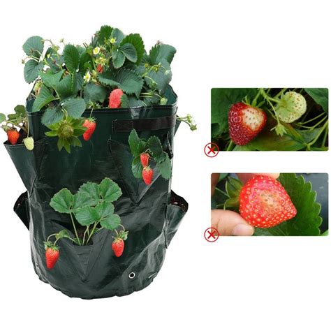 Jardinière Sac de culture de fraises PE sac de plantation suspendu de