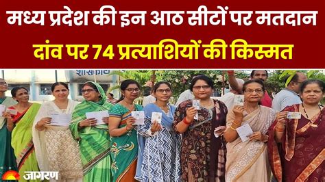 Lok Sabha Election Voting Phase 4 Mp की इन आठ सीटों पर वोटिंग कौन