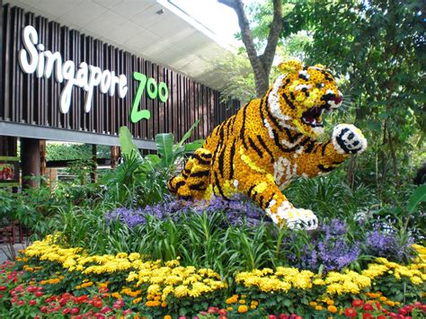 Singapore Zoo The Singapore Zoological Gardens Singapore Tours