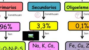 Cuatro Elementos Indispensables Para La Vida Bioelementos B Sicos