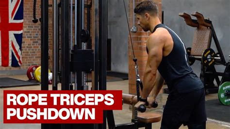 Rope Triceps Pushdown Youtube