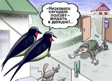 Смешные приметы и суеверия из современного мира | Смешно, Юмор, Веселые ...