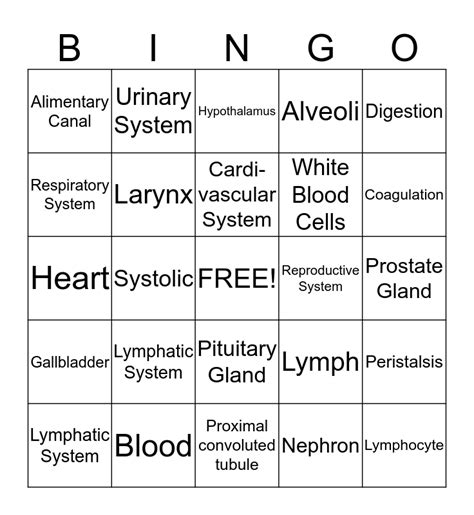 Human Anatomy Physiology Review Bingo Card