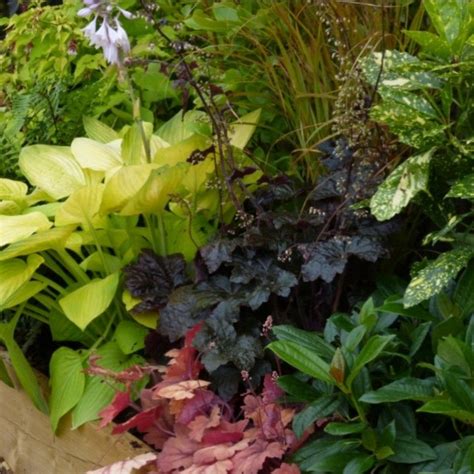 Pin On Garden Borders