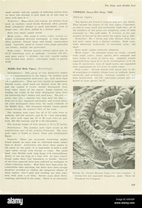 Poisonous snakes of the world (Page 109) BHL11739567 Stock Photo - Alamy