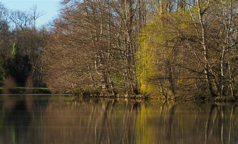 Le Plaisir De La Chasse La Palombe Dans Le Gers Parlons Chasse