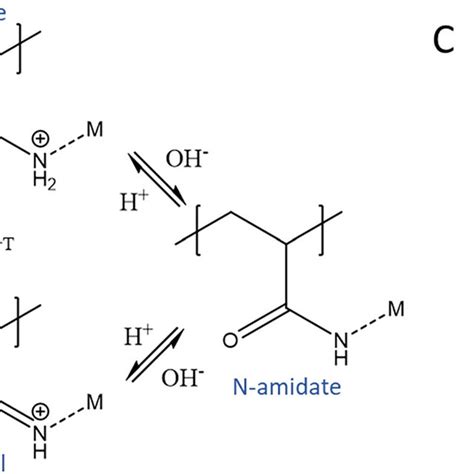 Possible Transition Metal Ion Binding Sites For Single Site A