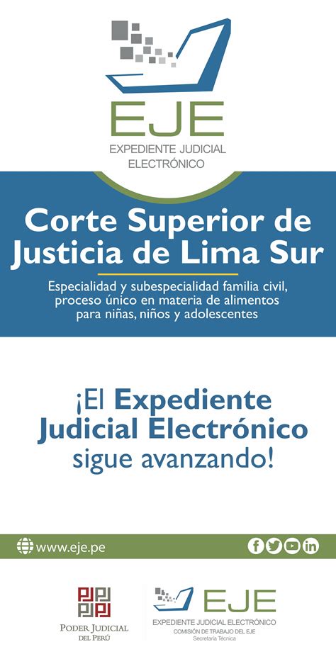 Implementación Eje Alimentos Campañas Corte Superior De Justicia De Lima Sur Plataforma