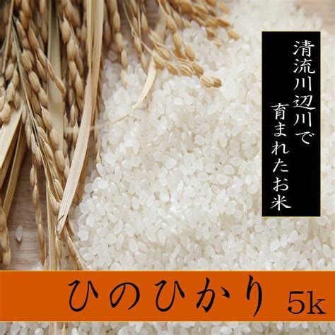 令和6年産新米ヒノヒカリ 5kg お米 熊本県産 精白米 Hinohikari5 生田米店 ヤフーショップ 通販