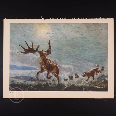 Giant Stag: Moose From the Pleistocene Epoch Original Vintage ...