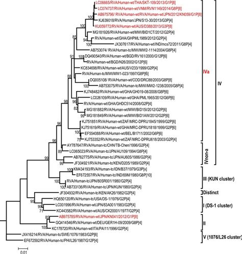 Reference Phylogenetic Lineage Designation For The Nsp1 A2 Genotype Of Download Scientific