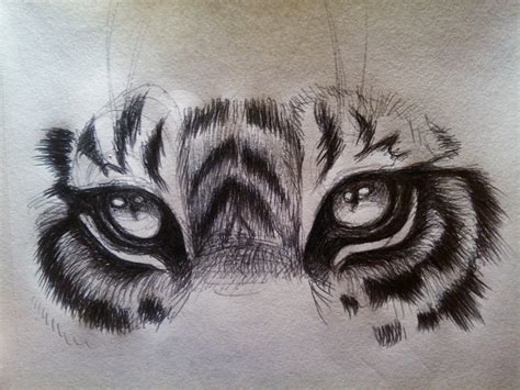 Tiger Eye Sketch at PaintingValley.com | Explore collection of Tiger ...