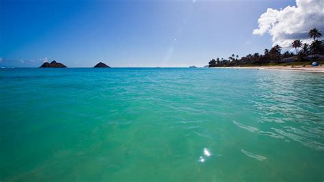 Kailua Beach in Honolulu, Hawaii | Expedia