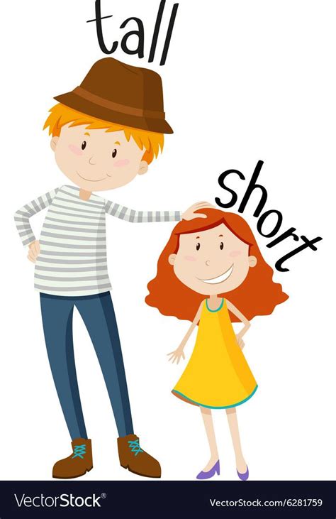 Opposite Adjectives Tall And Short Royalty Free Vector Image Learning