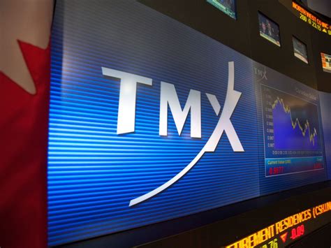 tsxs   performing stocks financial post