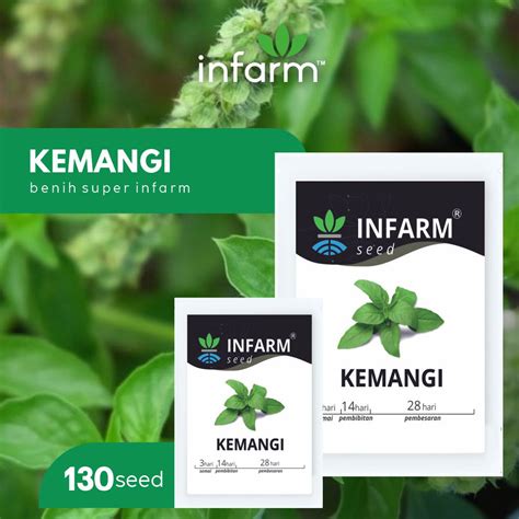 Jual INFARM Benih Bibit Biji Super Daun Kemangi Shopee Indonesia