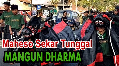 Bantengan Maheso Sekar Tunggal Mangun Dharma Kirab Bantengan Tulus