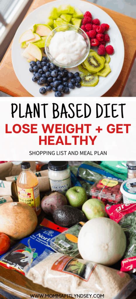 Plant Based Diet On A Budget For Beginners Momma Fit Lyndsey