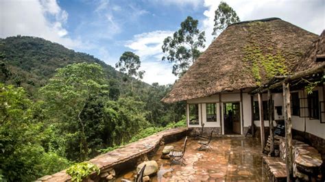 Bwindi Lodge Bwindi Impenetrable National Park Uganda