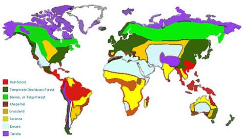 Biomes Of The World Chart