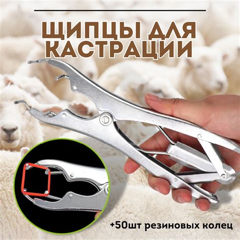 Щипцы для кастрации ягнят,овец,коз натяжные 1 штука+ резиновое кольцо ...