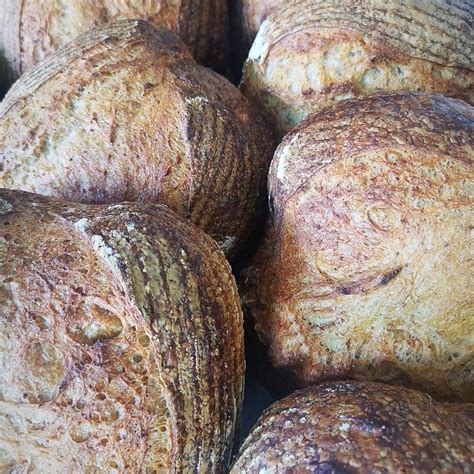 Sourdough Loaf