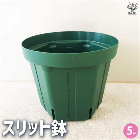 【楽天市場】【送料無料】スリット鉢 【プラ鉢 5号】鉢 植木鉢 鉢植え スリット 排水性 水はけ 通気性 プランター 野菜 花：植物販売の