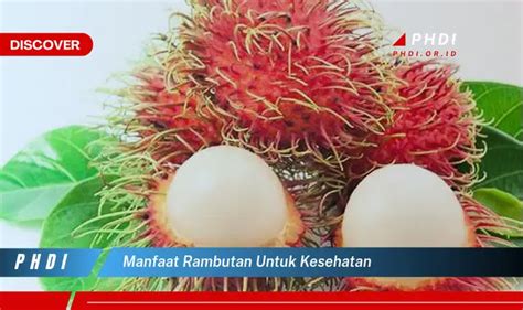 Ketahui Manfaat Rambutan Untuk Kesehatan Yang Bikin Kamu Penasaran