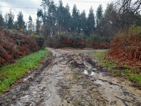 Quejas en Iñás por el mal estado de los caminos forestales