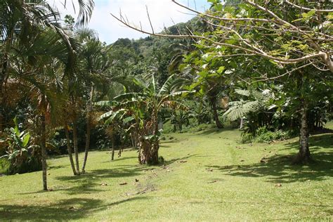 Sauniatu Waterfall Samoa Flickr