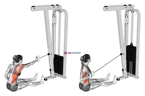 Cable One Arm Twisting Seated Row Female Home Gym Review