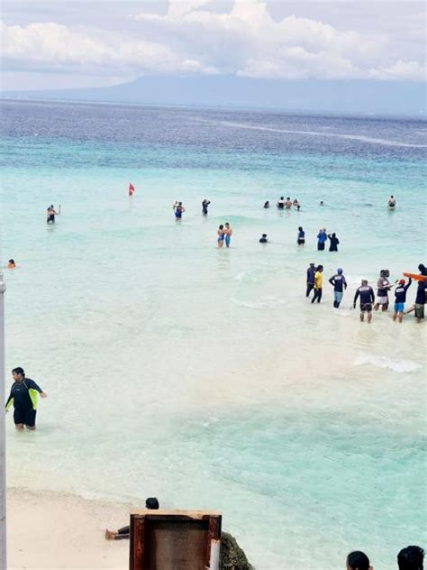 Cebu Whaleshark Encounter Tumalog Falls And Sumilon Sanbar Getyourguide